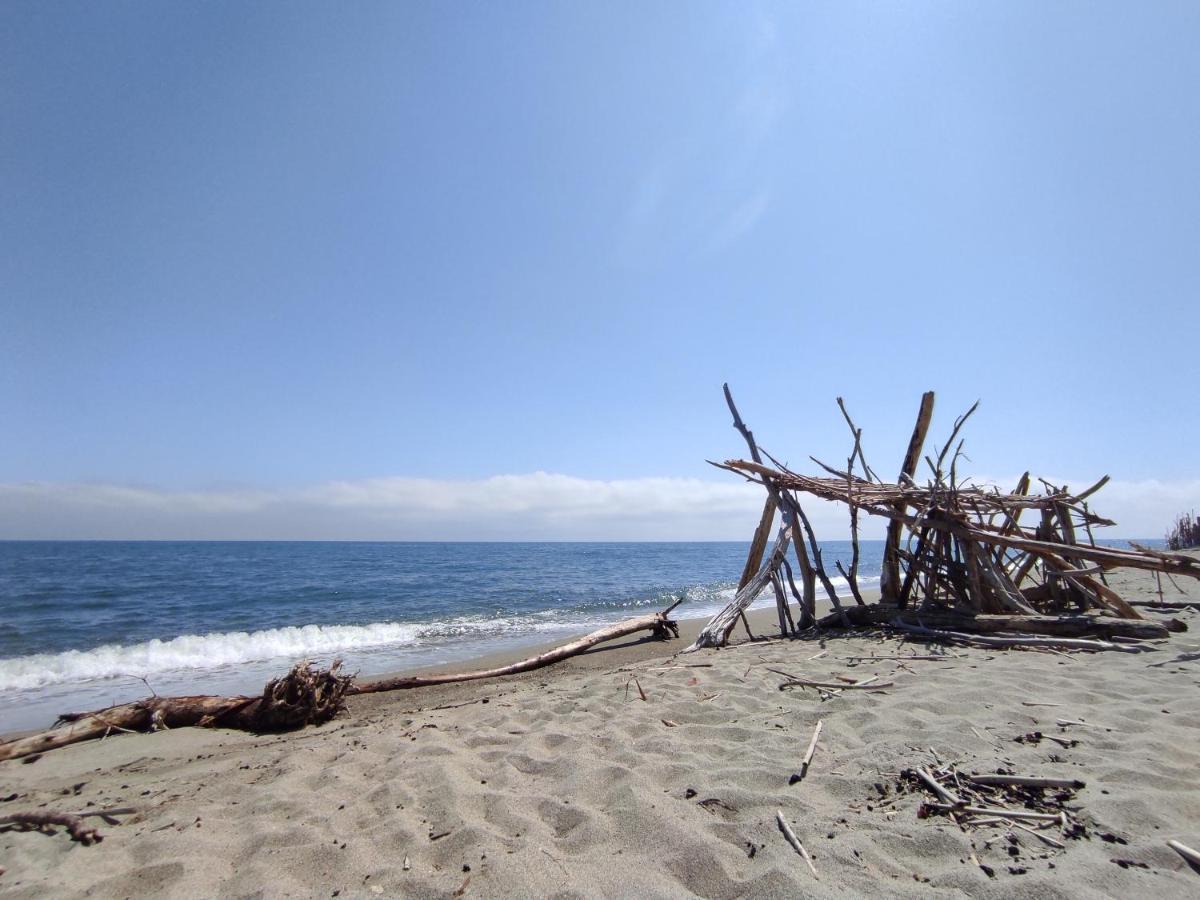 Superbe Studio Pour 2 A 20M De La Plage - 27 카네트 외부 사진